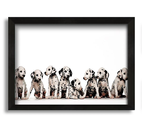 Dalmatian Puppy Fun - Picture Frame Graphic Art on Canvas