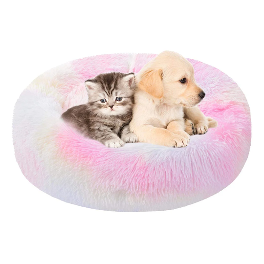 Fresnel Round Donut