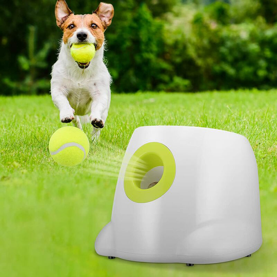 Automatic Ball Launcher 3 Adjustable Distance Setting Tennis Ball Throwing Machine for Dog Training and Playing Included 3 balls
