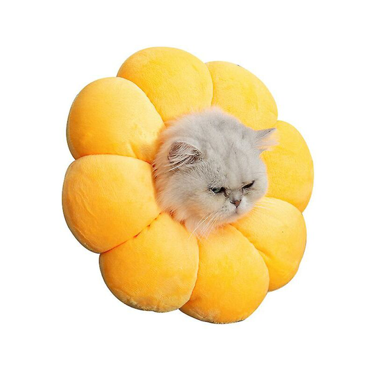 Sun Flower Medical Collar for Cat and Dog Pet Supplies Anti-Bite and Anti-Licking Yellow (xl)
