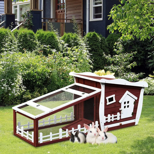 Coleman Animal Hutch