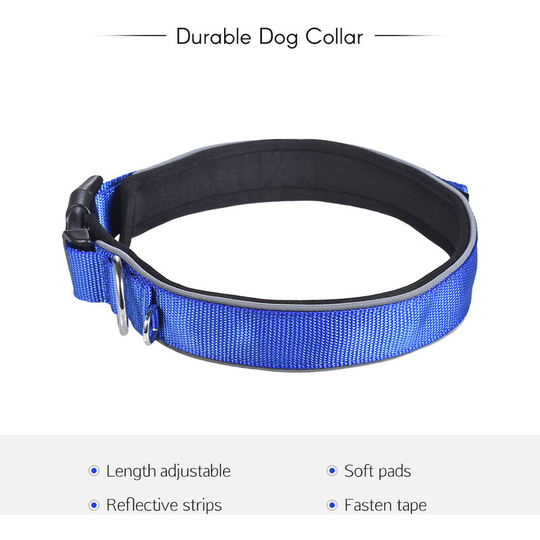 Strong Durable Dog Collar Dual D-ring Nylon Fasten Tape Length Adjustable Comfortable Neck Pet Collars for Small Large Medium Dogs