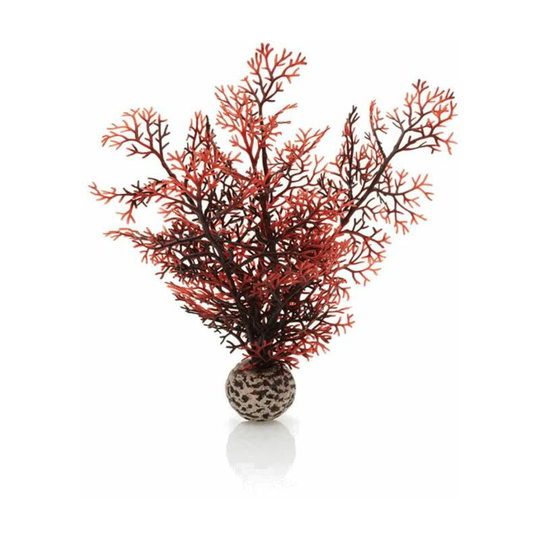 Sea Fan, Small, Crimson - Biorb