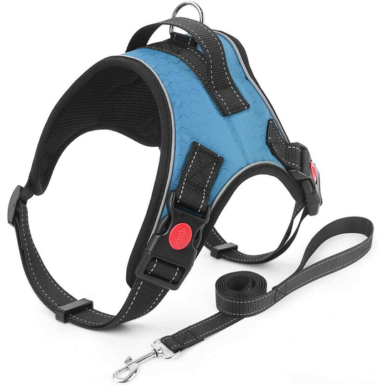 Briday - No Pull Dog Harness and Lead Set, Breathable Adjustable Comfort, Escape Proof Kitten Easy to Use Harnesses Puppy Animals, Small Medium Large