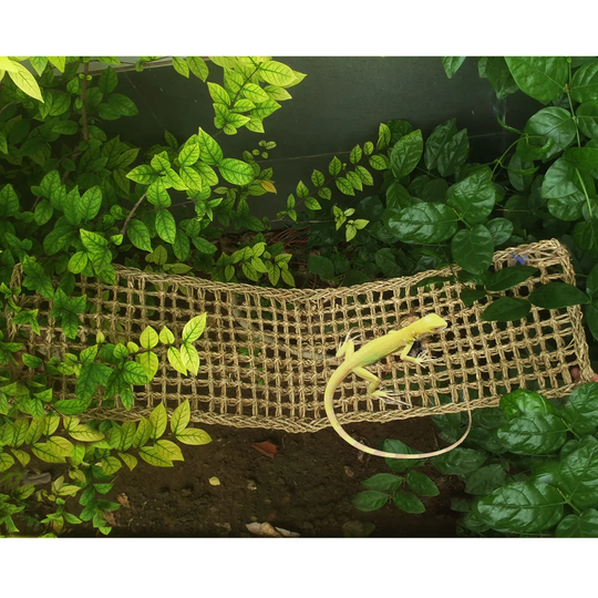 Large Hammock Lizard Lounger, 100% Natural Seagrass Fiber Hammock Swing Lounger Toy Hanging Bed For Anoles, Bearded Dragons, Geckos, Iguanas, And Herm