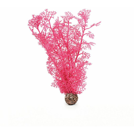 Sea Fan Medium, Pink - Biorb