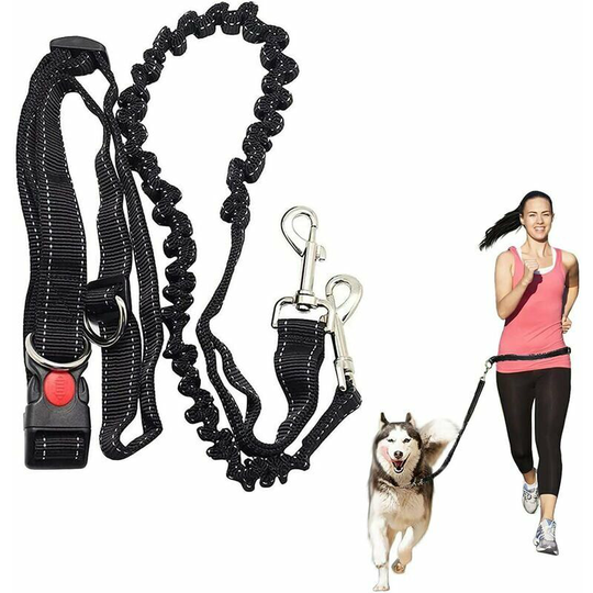Dog Leash, Running, Shock Absorbent, Elastic, Adjustable Belt for Running, Jogging or Walking