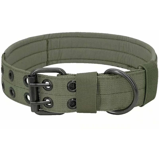Classic Collars Military Tactical Dog Collar Adjustable Nylon Metal D-ring Buckle for Dog Training - Classic Solid Color Collection (Green l)