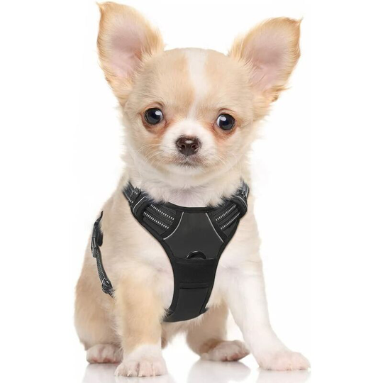 Tinor - Dog Harness Small Dog No Pull Pet Harness with 2 Leash Clips, Adjustable Soft Padded Pet Vest Harness, Reflective No-Choke with Easy Control