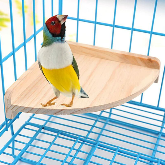 13treize - Bird Perch Platform Stand Wood for Small Animals Parrot Parakeet Conure Cockatiel Budgie Canaries Gerbil Rat Mouse Chinchilla Hamster Cage