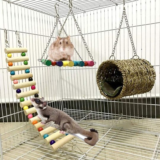 Devenirriche - Hamster Toy, Lot of 3 Toys for Parrots or Dogs. Bridge Ladders, Swing Toy, Perched Hammock for Hamster, Squirrel, Ferret, Guinea Pig,