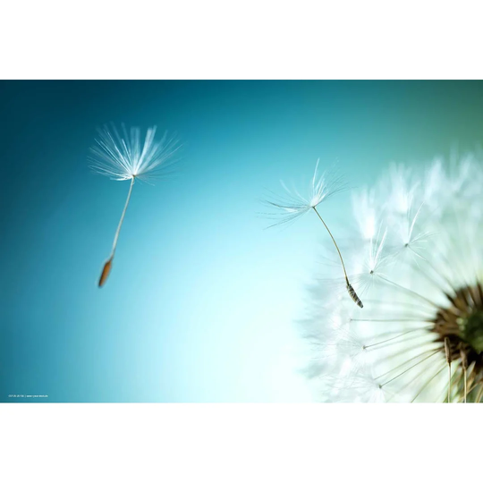 Dandelion Placemat