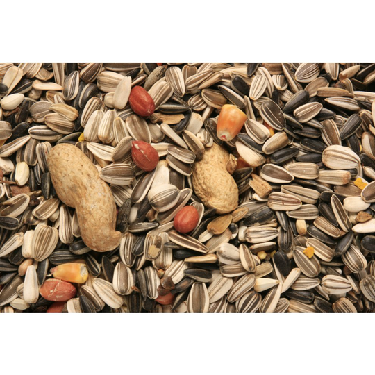 SkyGold Special Parrot Cage & Aviary Seed Mix 12.5Kg