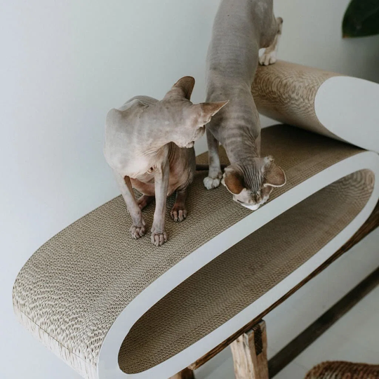 2-In-1 Cat Scratcher