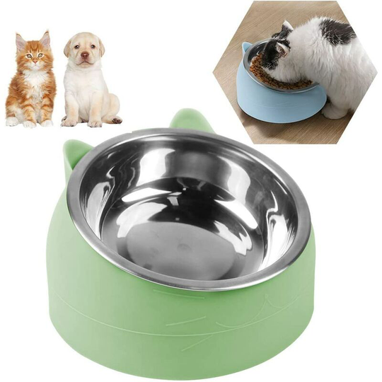 Tilted Cat Bowl, Stainless Steel Cat Bowl, Pet Bowl Set, 15° Tilted Raised Stand Detachable Bowl for Cats and Dogs, Small Dog Bowl 200ML,green