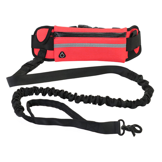 Pet leash, belt bag leash rose red - Muff