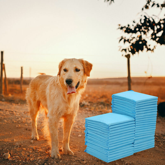120X Extremely Absorbent Puppy Pad Training Mat Cushion for Dogs 60*60CM - Blue