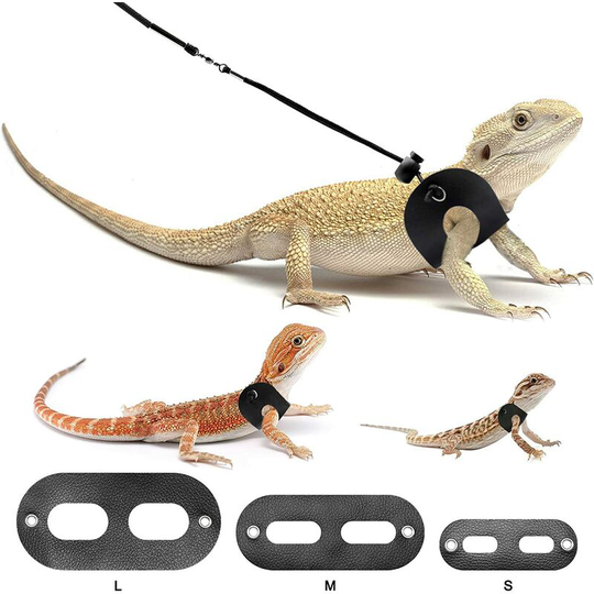 Deckon - Bearded Dragon Harness and Belt Adjustable Lizard Leather Reptile Harness for Amphibians and Other Small Pets (s, m, l, 3 Pieces).