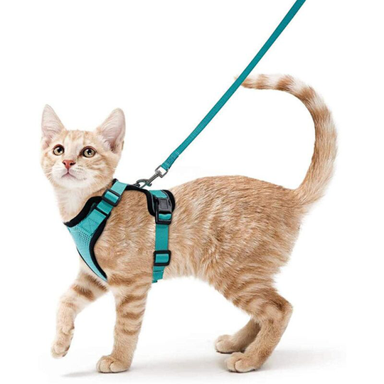 Perle Rare - Cat Harness Small Dog Leash Adjustable Kitten Harness Green s Collar Reflective Cat Harness Vest Breathable Vest for Rabbit, European