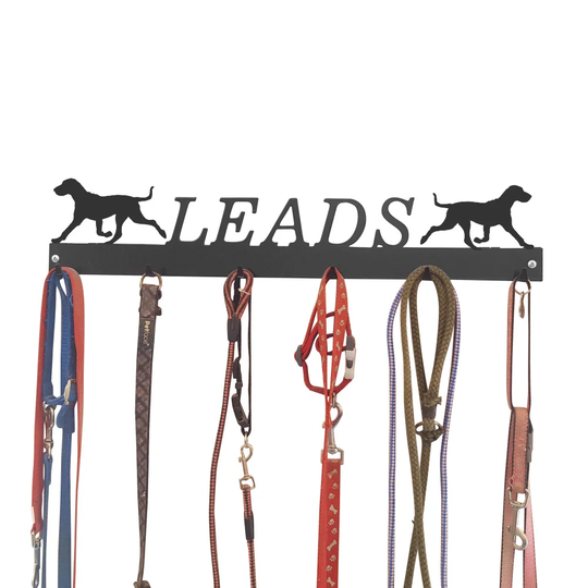 Aleyska Wall Mounted Coat Rack
