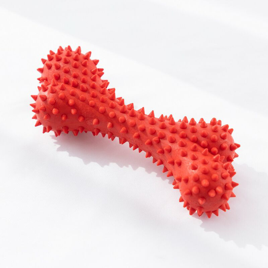 Squeaky Toys for Aggressive Dogs - Solid Toothbrush - Puppy Chew Toy - Almost Indestructible Rubber Toy for Training, Teeth Cleaning