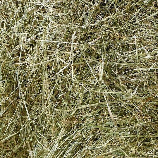Tiny Friends Farm - Meadow Hay Rabbit Food (2kg) (May Vary) - May Vary