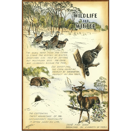 Wildlife