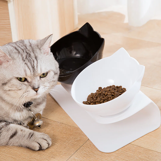 2-Bowl 15 ° Inclined Cute Plastic Pet Feeding Bowl (Black+White Bowl)