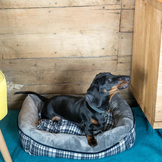 Winford Bolster Cushion in Grey