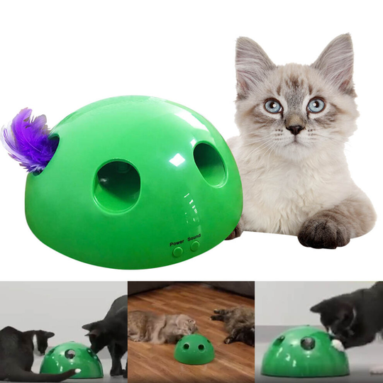 Cat Toy Cat Kitten Catch Interactive Motion Mouse Tease Electronic Pet