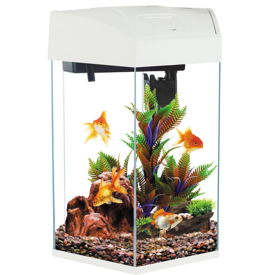 Fish R Fun, Hexagonal Fish Tank 21.6L White