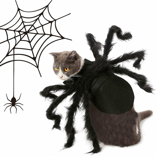 Pet clothes, spider cosplay pet costume for cat dog, spider bat role play dress up clothes for Christmas Halloween party