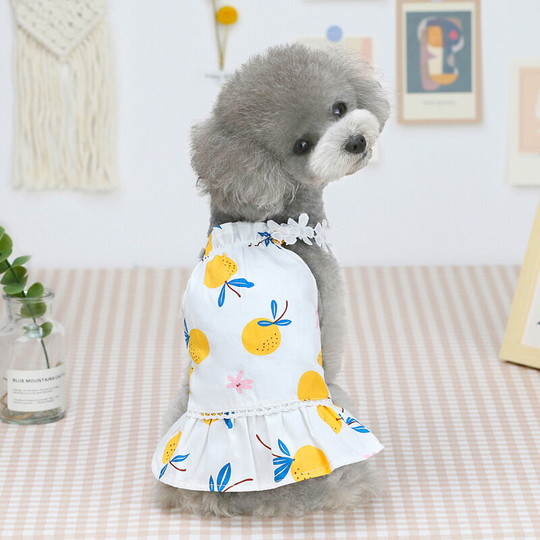 Pet clothing new dog clothes spring and summer clothes cat princess dress m (chest 40', neck 27', back 30' suitable for weight 4-6 pounds '), 21