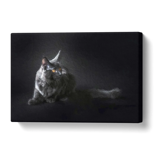 'Maine Coon Kitten' Painting on Wrapped Canvas