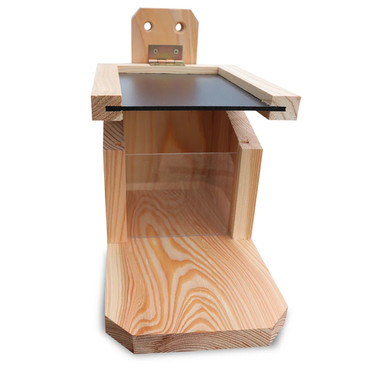 Lofton Squirrel Feeder