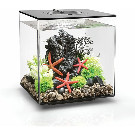 biOrb CUBE 30L Aquarium Black with MCR Lighting
