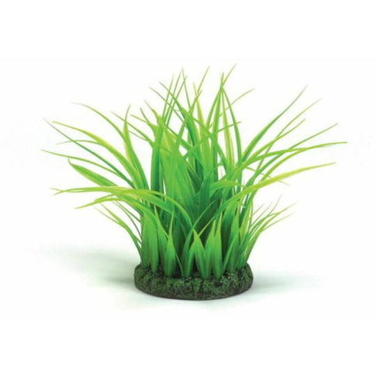 Grass Ring, Small, Green - Biorb