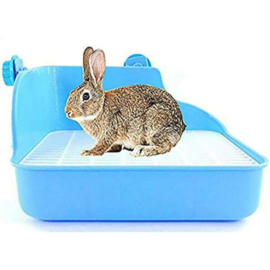 Gdrhvfd - Pet Clean Toilet, For Small Animals/Rabbits/Guinea Pigs/Ferrets - Double Mesh - Toilet Accessory Blue