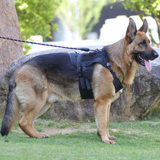 Tactical dog coat waterproof explosion-proof flush tactical chest strap medium and large dog pet vest about 20-40 catties
