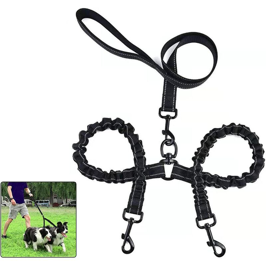 Betterlifegb - Leave double for 2 dogs, leash dog, leaves double 360 ° dog without entanglement, multifunctional detachable, elastic material shock