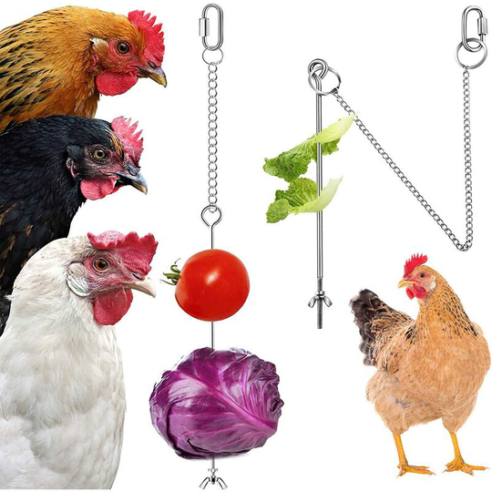 Hanging chicken feeder chicken parrot hanging stainless steel bird feeder chicken feeder toy