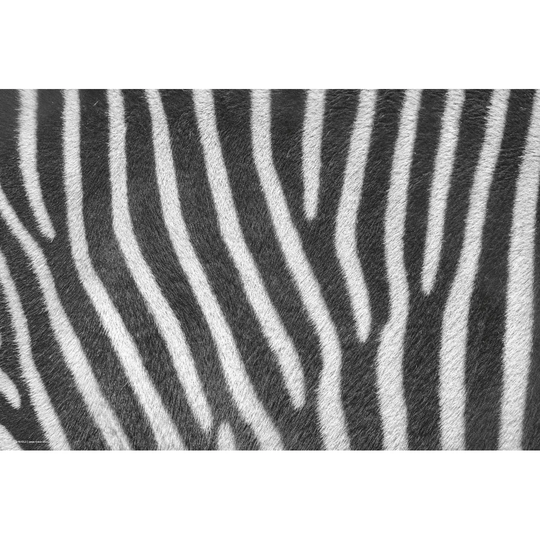 Zebra Placemat