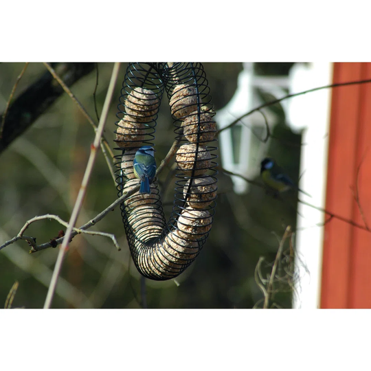 Amram Decorative Bird Feeder