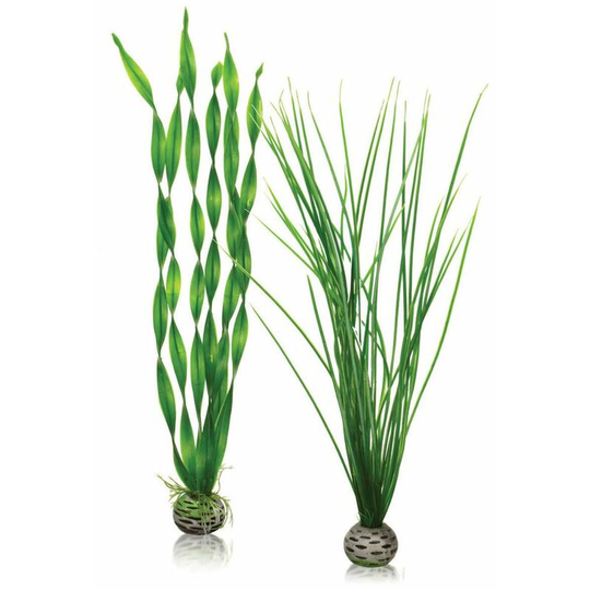 Easy Plant, Tall, Pack of 2, Green - Biorb
