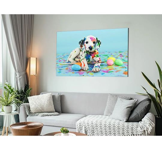 Dalmation Puppy Party - Unframed Photograph on Metal