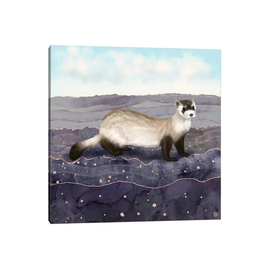 The Black Footed Ferret