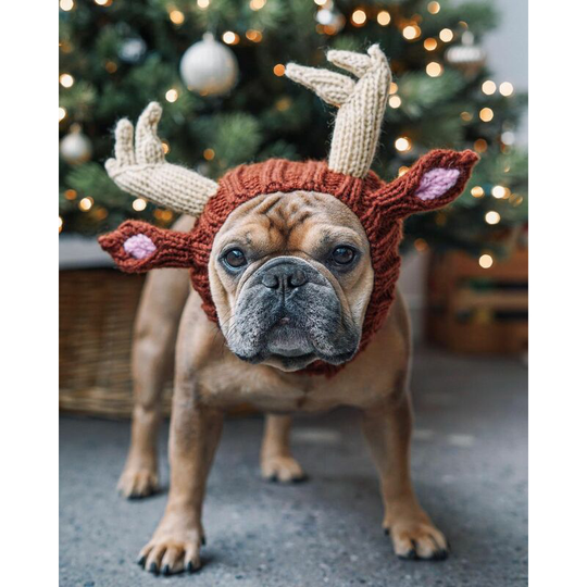 Dog Costume - Pet Earmuffs No Flap Pet Halloween Hat Suitable for Pets with Head Circumference 20-34cm