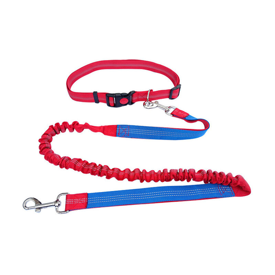 Hands Free Dog Leash Adjustable Belt for Running, Hiking, Hiking, Medium and Large Dogs (Red Blue) - Muff