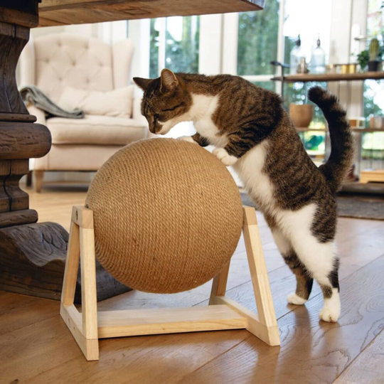 Designed by Lotte Cat Scratch Kitten Pet Animal Globe on Foot 34x30x35.5 cm