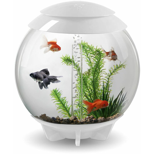 Biorb - Halo 30L Aquarium in White with mcr led Lighting